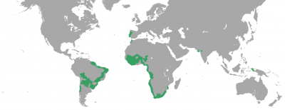El imperio portugués