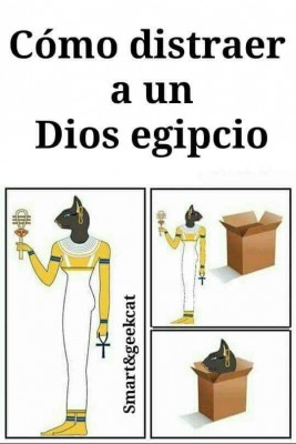 28468653_625640727779979_4838295150904417824_n.jpg (30.8 KiB) Visto 2725 veces 28468653_625640727779979_4838295150904417824_n.jpg