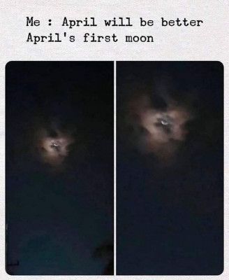92128818_3226280550755326_303506080174964736_n.jpg