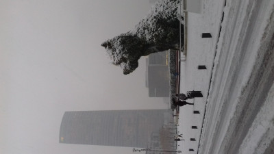 20180228_082400.jpg