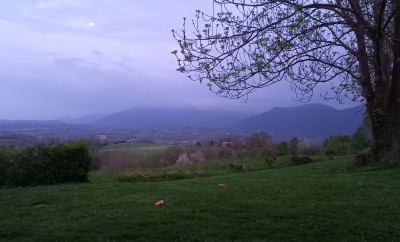 20220415_205255.jpg