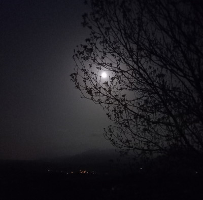 20220415_214825.jpg