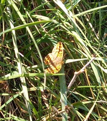 20220416_144839.jpg