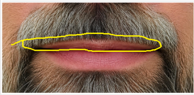 Bigote recortado.png
